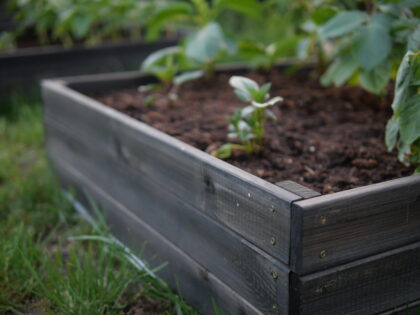 Paaugstināta dārza dobe no koka 80x80x27cm, melna - Image 11