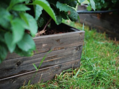 Paaugstināta dārza dobe no koka 80x80x27cm, melna - Image 14