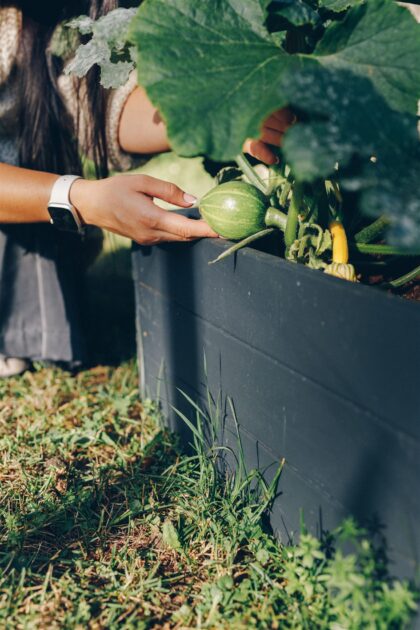 Paaugstināta dārza dobe no koka 80x80x27cm, melna - Image 5
