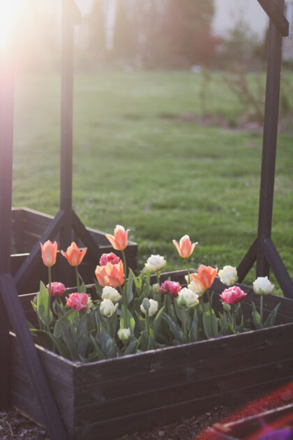 Paaugstināta dārza dobe no koka 80x80x27cm, melna - Image 16